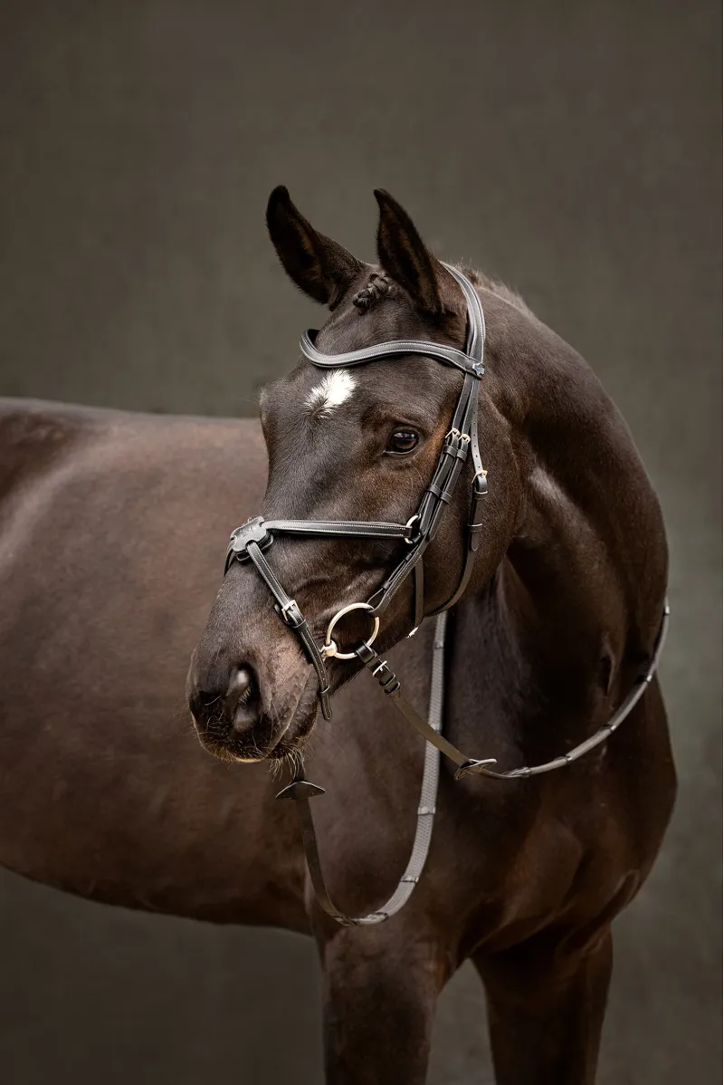 LeMieux Arika Grackle Bridle in Black and Silver